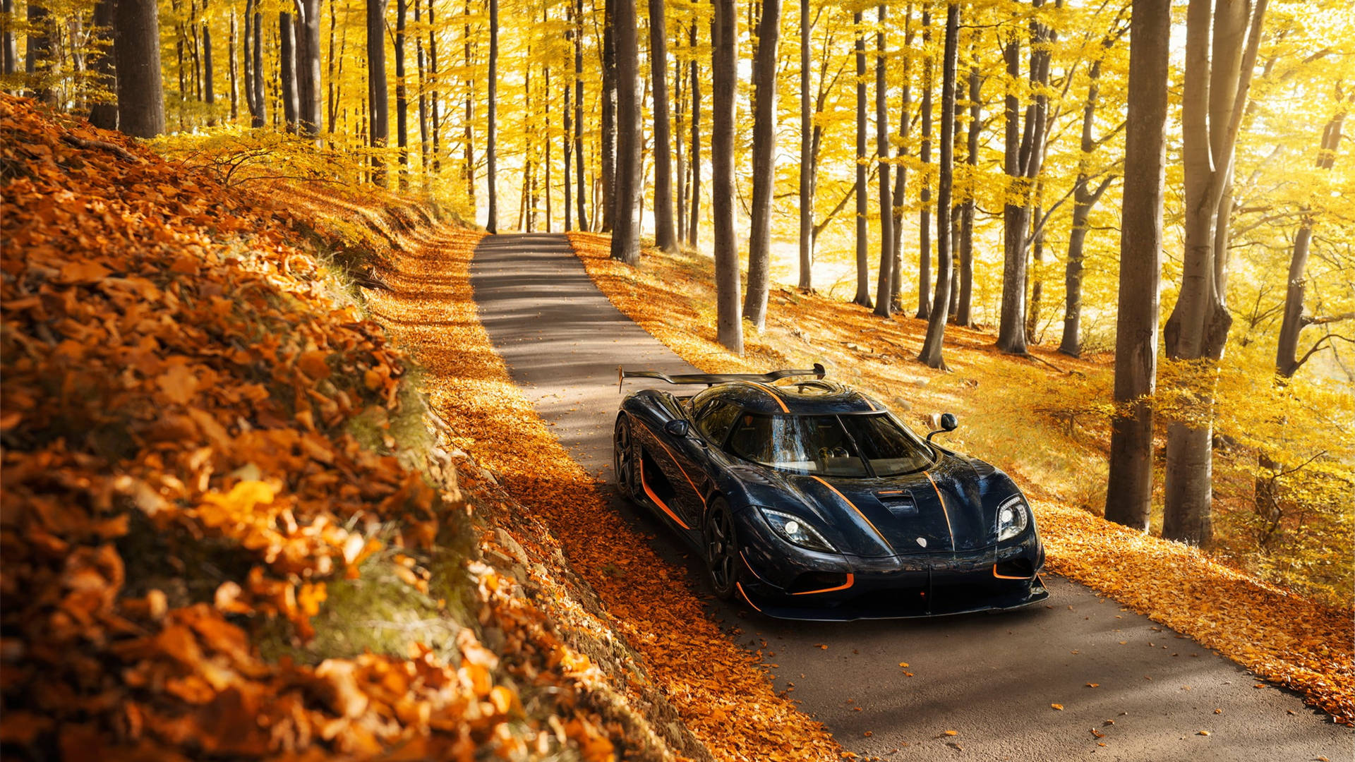 A black sleek sports car driving on an autumn path.