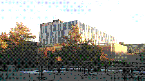 A photo of the University of Calgary Taylor Family Digital Library. It is a large square building with varying frosted windows that give it a pixelated look. It is slightly hidden behind fall trees cast in orange light from the sunset.