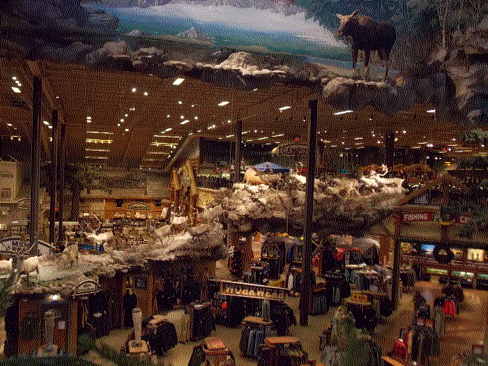 A fabricated rock path extending across the stations of the store, with countless taxidermy deer frozenly wandering it.