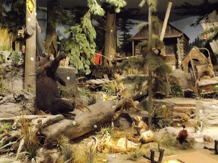 A messy, cluttered forest scene from the Bass Pro Shop laser shooting range. You can see fake trees, a fake cabin, a bear in front with it's hand raised and plenty of fake greenery.